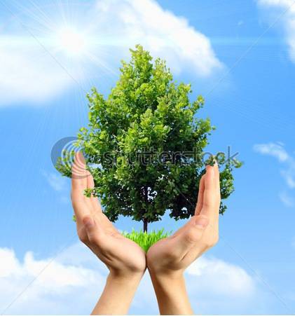 stock-photo-eco-concept-hands-holding-a-tree-against-a-blue-sky-16184218.jpg