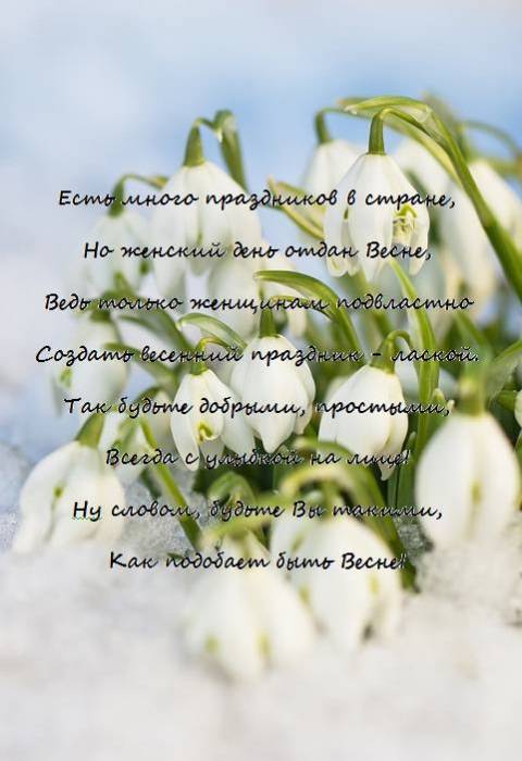 Snowdrop (Galanthus nivalis) 'Flore Pleno', February